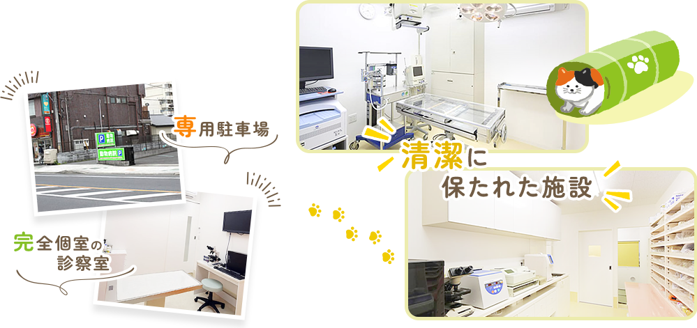 専用駐車場 完全個室での診察室 清潔に保たれた施設