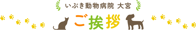 いぶき動物病院 大宮 ご挨拶